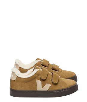 veja-139124-bruin 1
