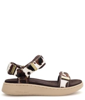 woden-136448-bruin 1