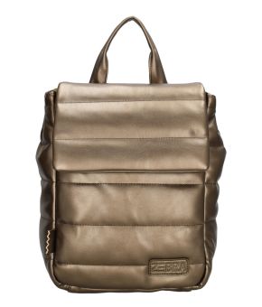 zebra-trends-126578-bruin 1