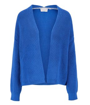 zusss-130888-blauw 1