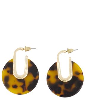 zusss-138701-bruin 1